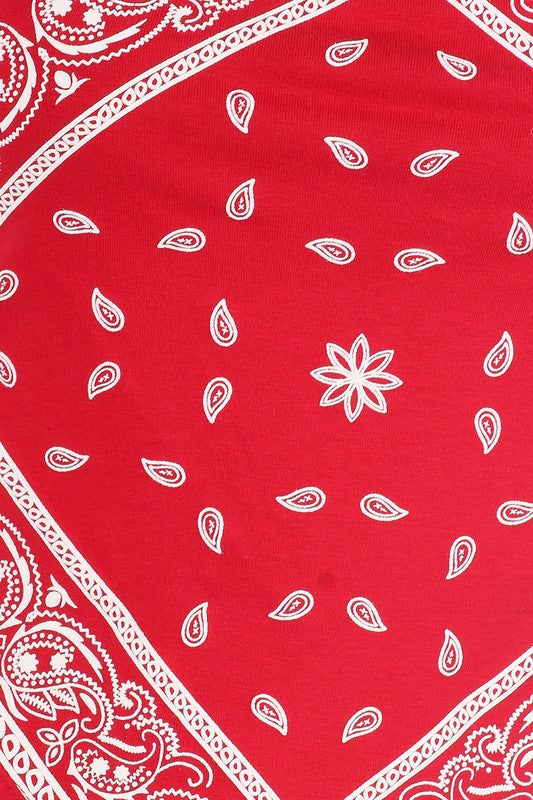 Paisley print, bandana top