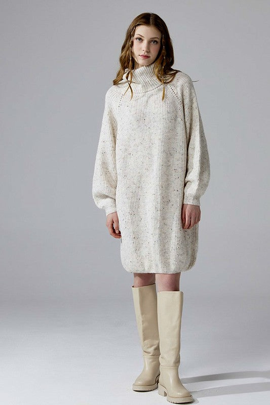 Turtleneck Balloon Confetti Sweater Dress