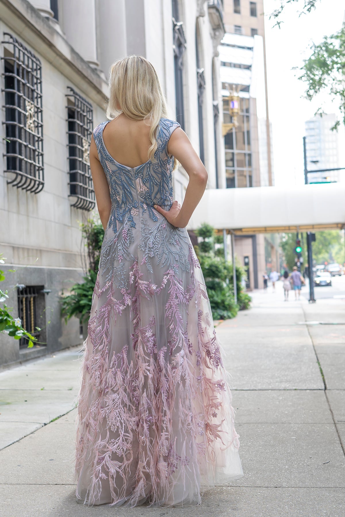 Cap Sleeves Feather Detail Ballgown