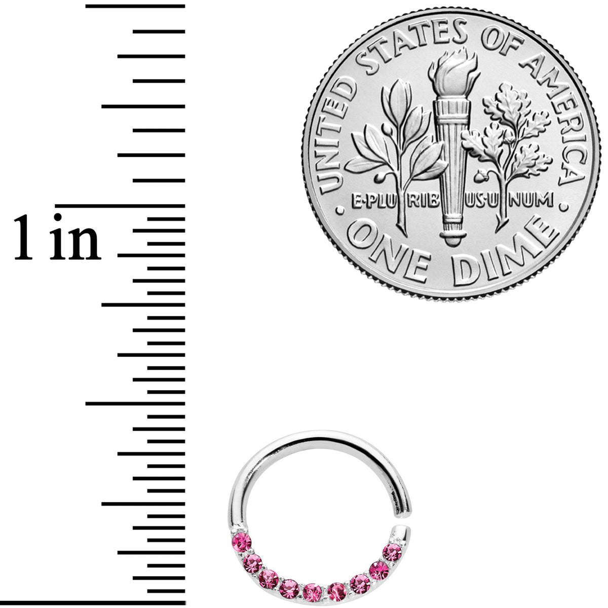 16G 5/16 Pink Gem Simple Elegance Seamless Circular Ring