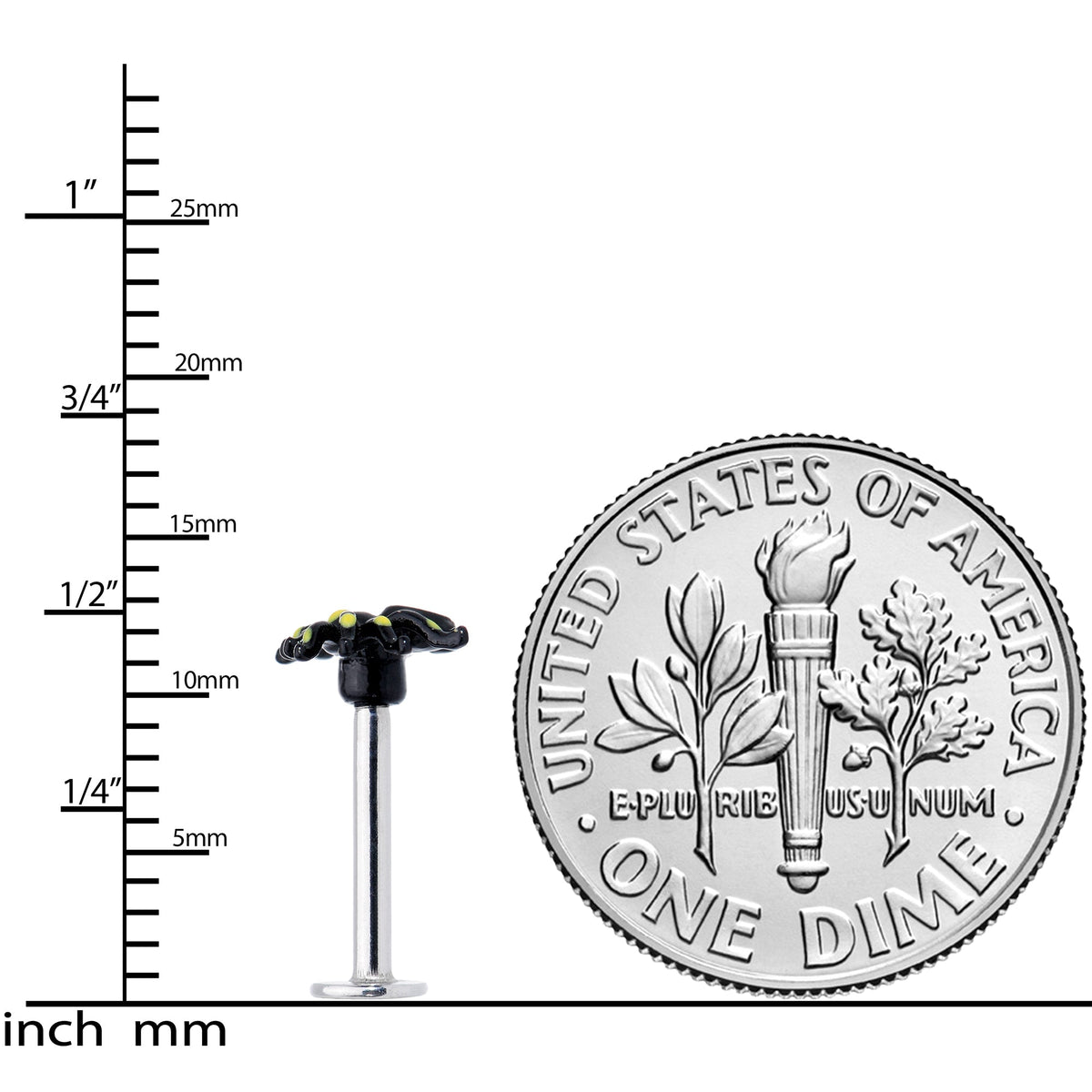 16G 5/16 Black Yellow Spooky Spider Halloween Labret Monroe Tragus