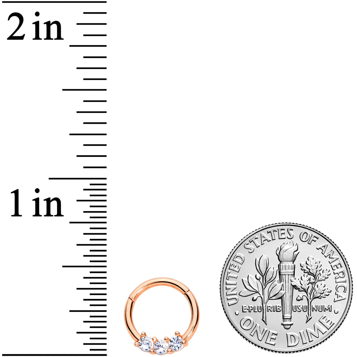 16G 5/16 Clear CZ Gem Rose Gold Tone Trio Hinged Segment Ring