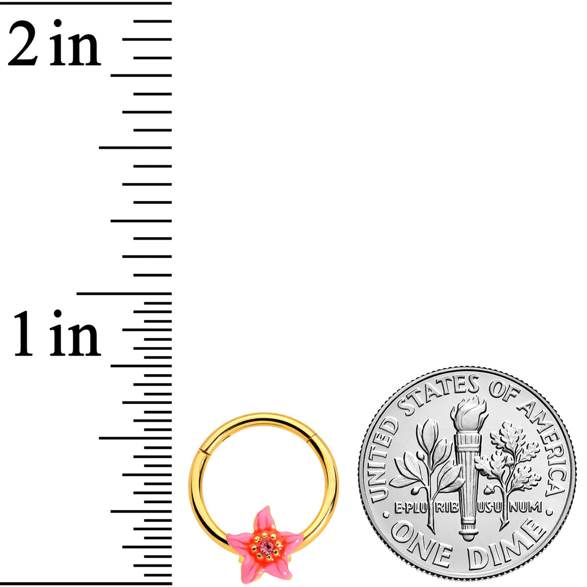 16G 3/8 Pink Gem Gold Tone Exotic Floral Star Hinged Segment Ring