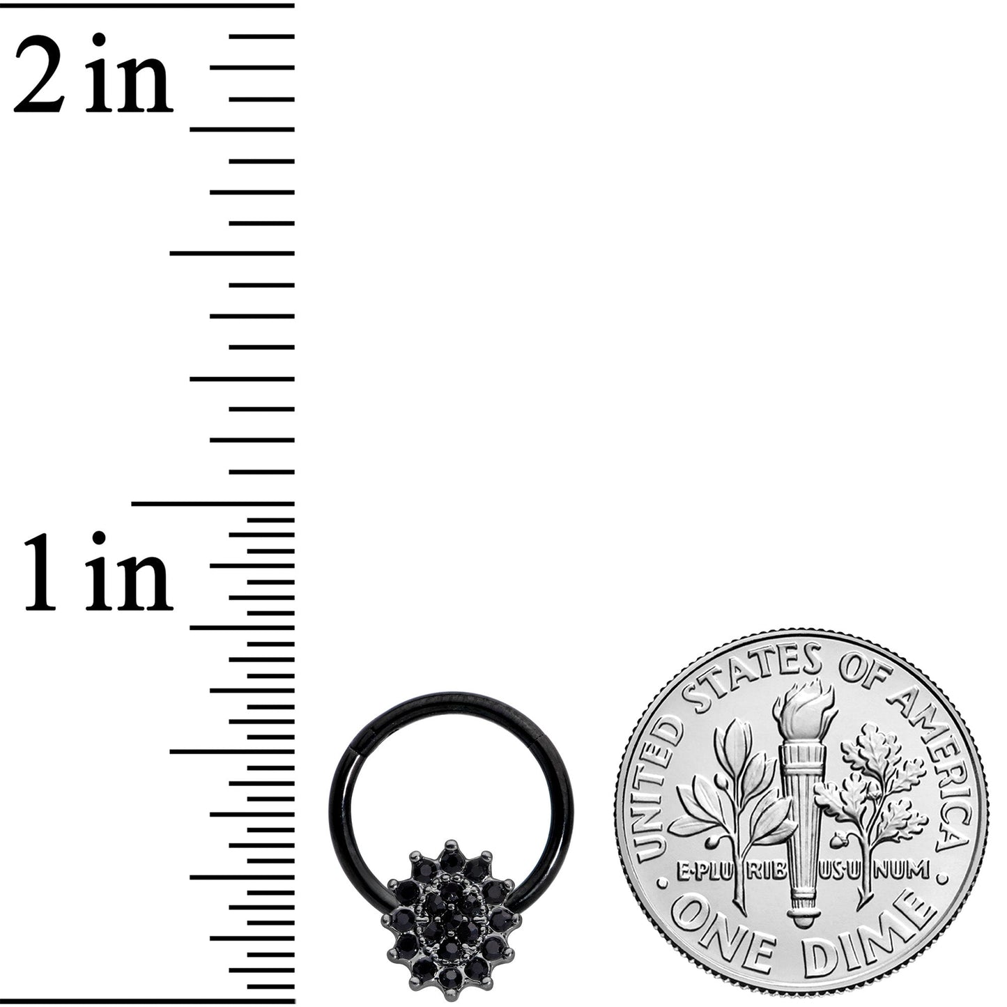 16G 3/8 Black Gem Black Oval Hinged Segment Ring