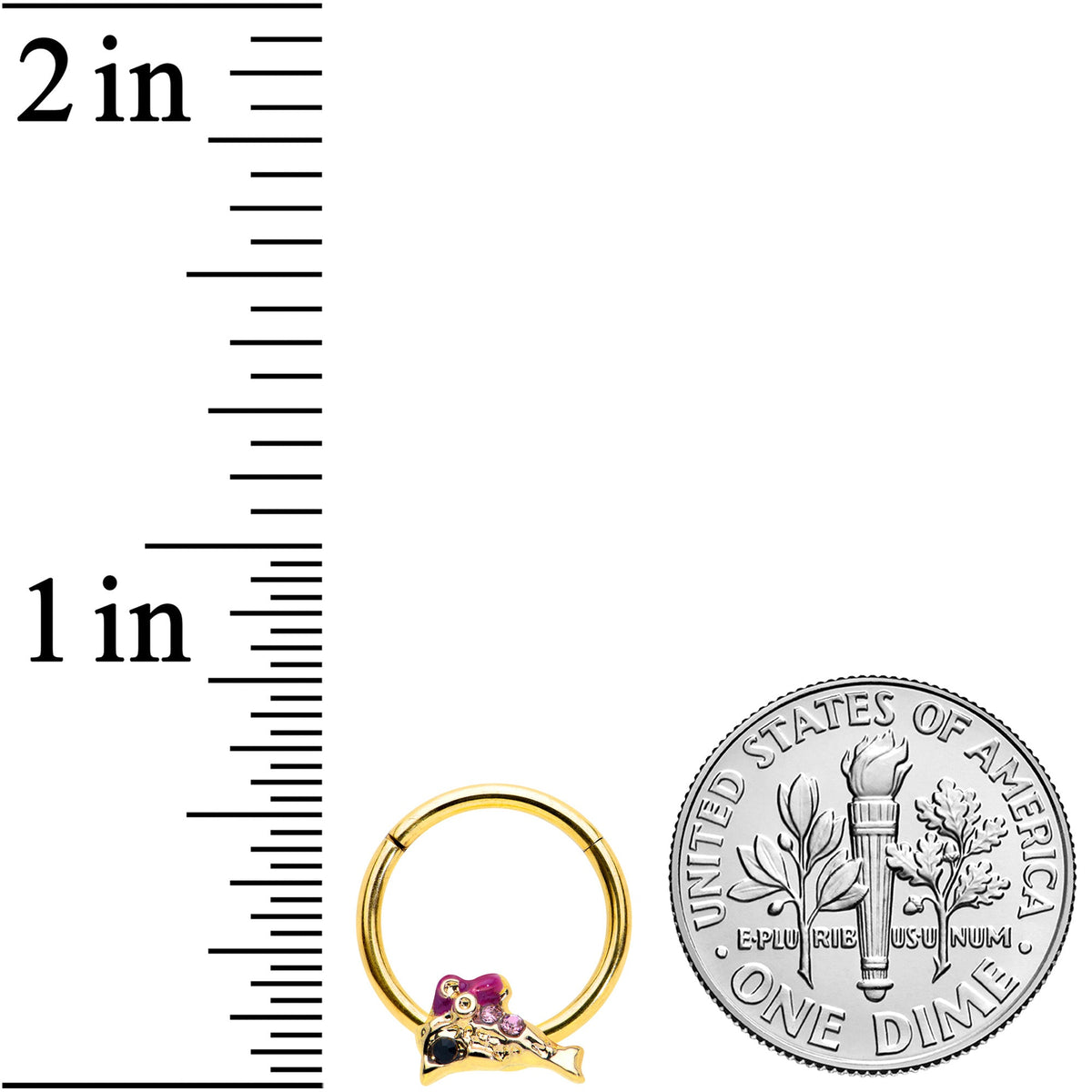 16G 3/8 Purple Gem Gold Tone Dainty Dolphin Hinged Segment Ring