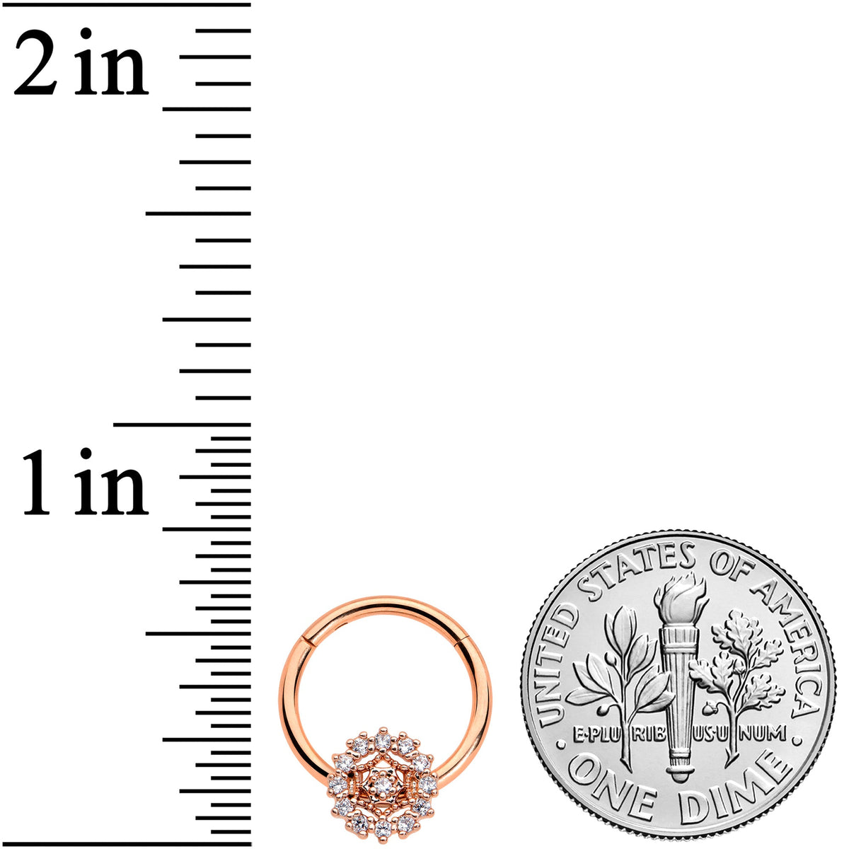 16G 3/8 Clear CZ Gem Rose Gold Tone Geo Web Hinged Segment Ring