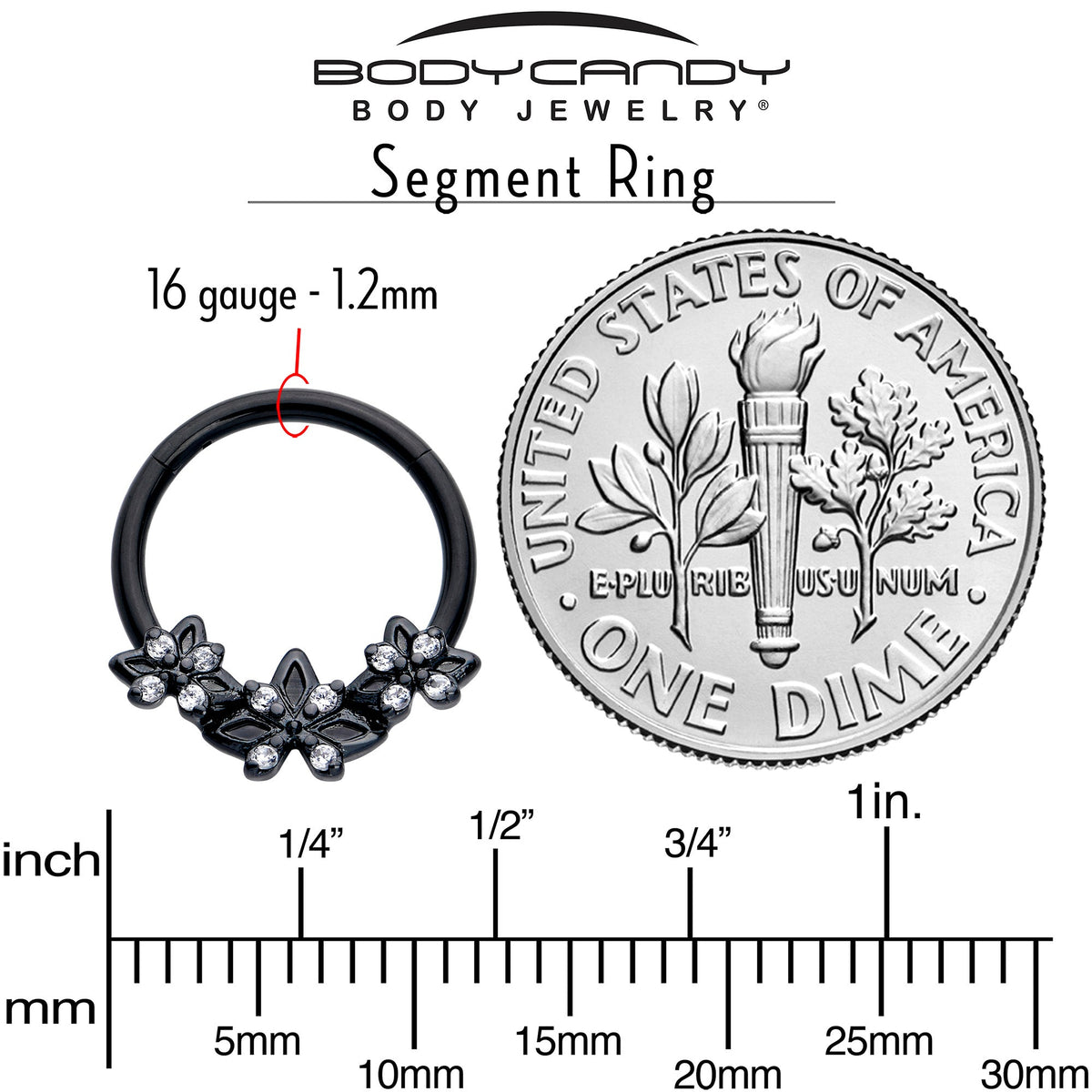 16G 3/8 Clear CZ Gem Black Gothic Star Trio Hinged Segment Ring
