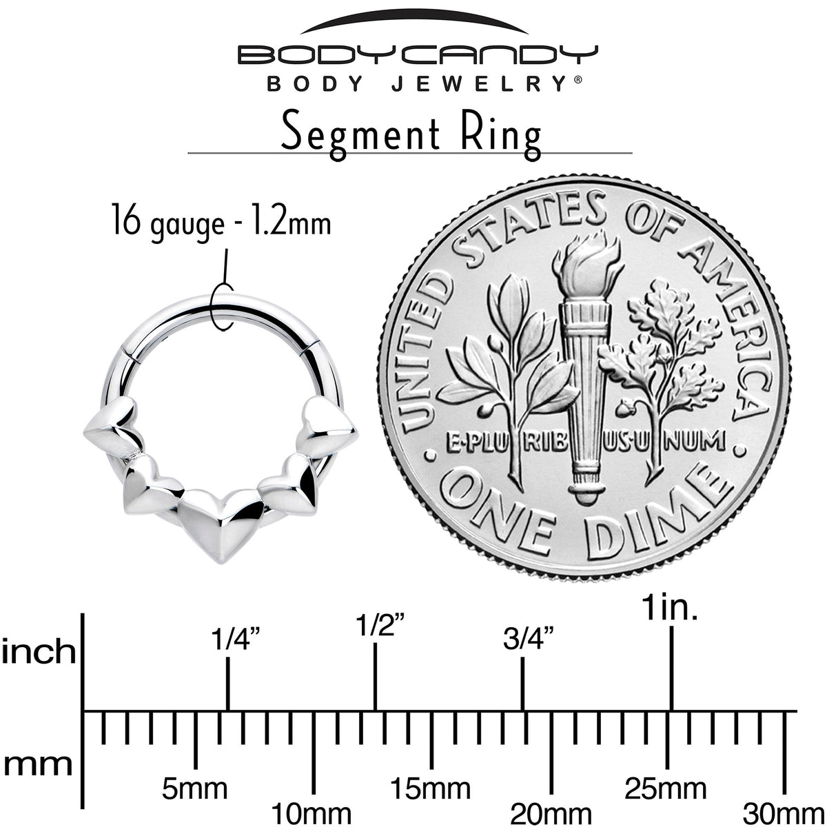 16G 5/16 3D Hearts Hinged Segment Ring