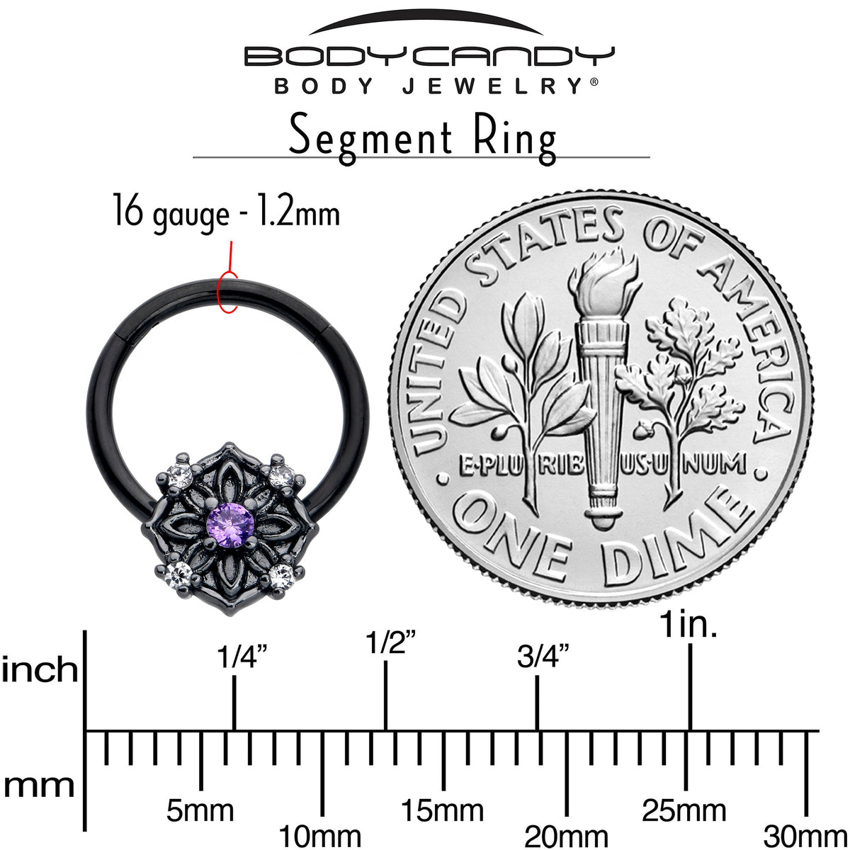 16G 3/8 Purple CZ Gem Black Flower Ring Hinged Segment Ring