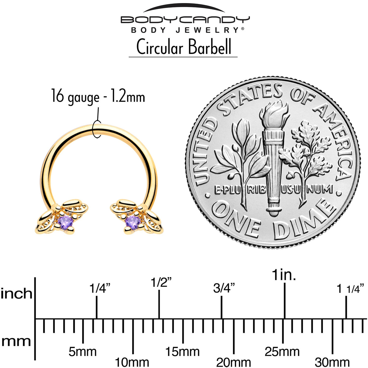 16G 3/8 Purple Gem Gold Tone Beauty Bug Horseshoe Circular Barbell