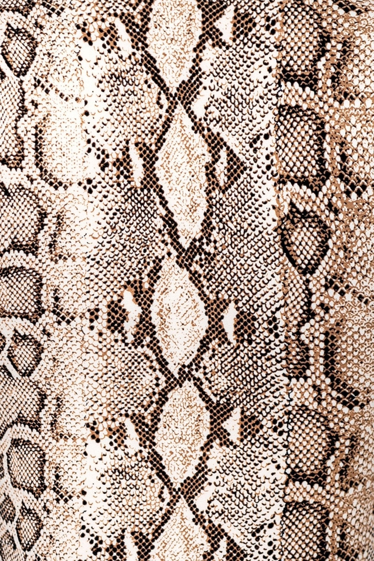 Snake Print Matching Set – Crop Top & Low Rise Mini Skirt for Women