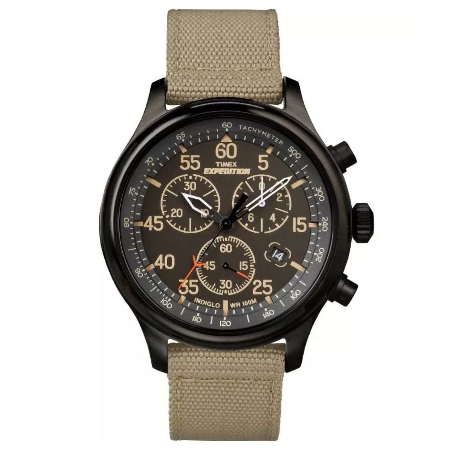 Timex Men's Expedition