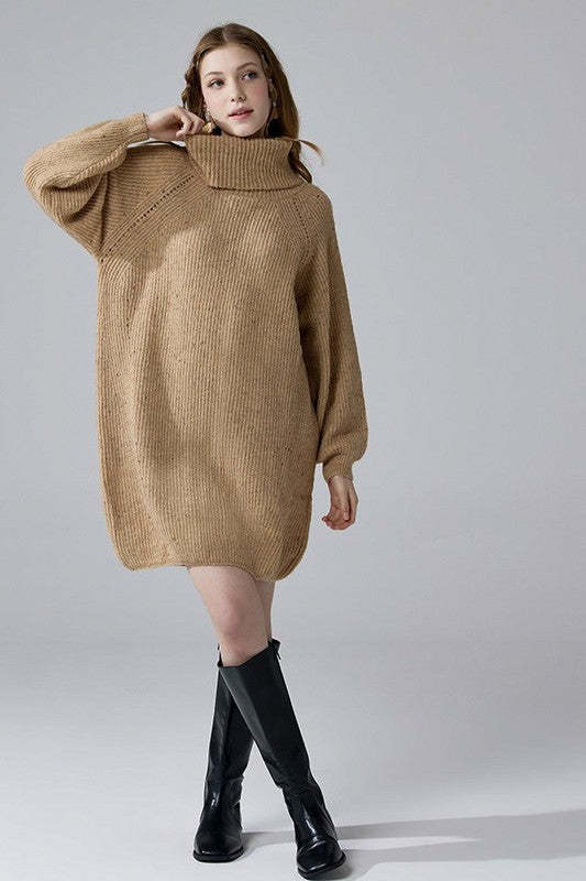 Turtleneck Balloon Confetti Sweater Dress