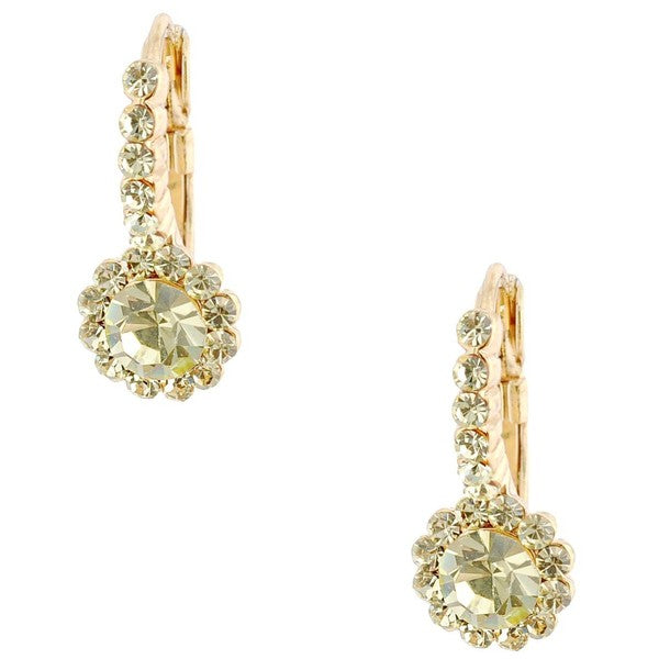 Timeless Daisy Flower Theme Leverback Earrings