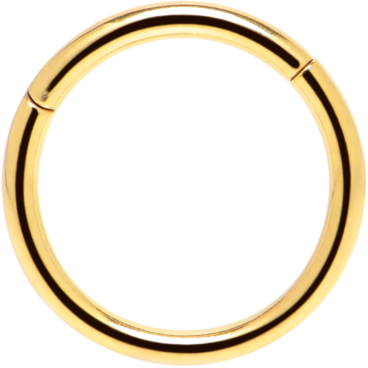 16G 3/8 Gold Tone Anodized Hinged Segment Ring