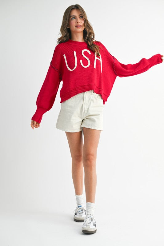 USA Sweater