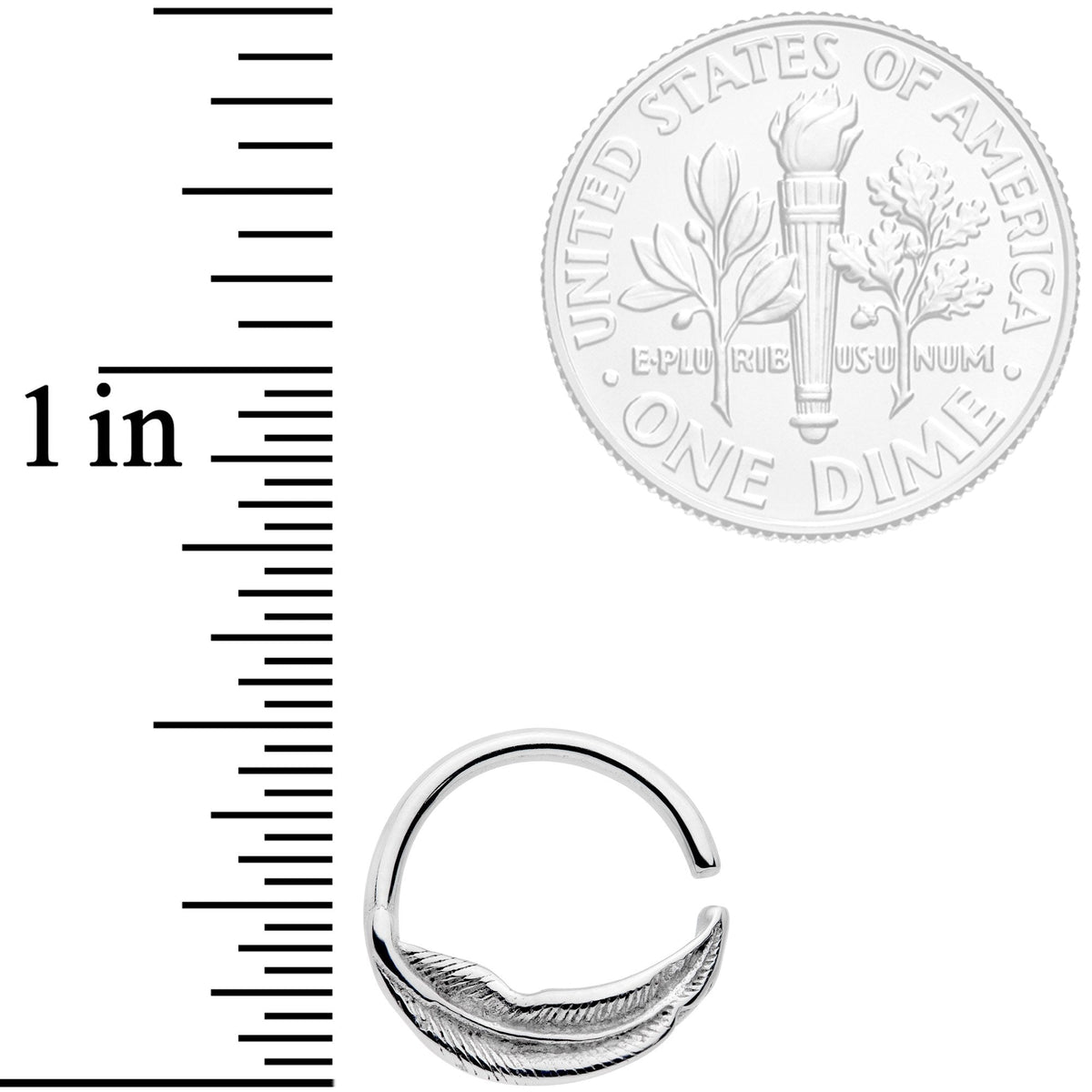 16G 3/8 Falling Feather Seamless Circular Ring