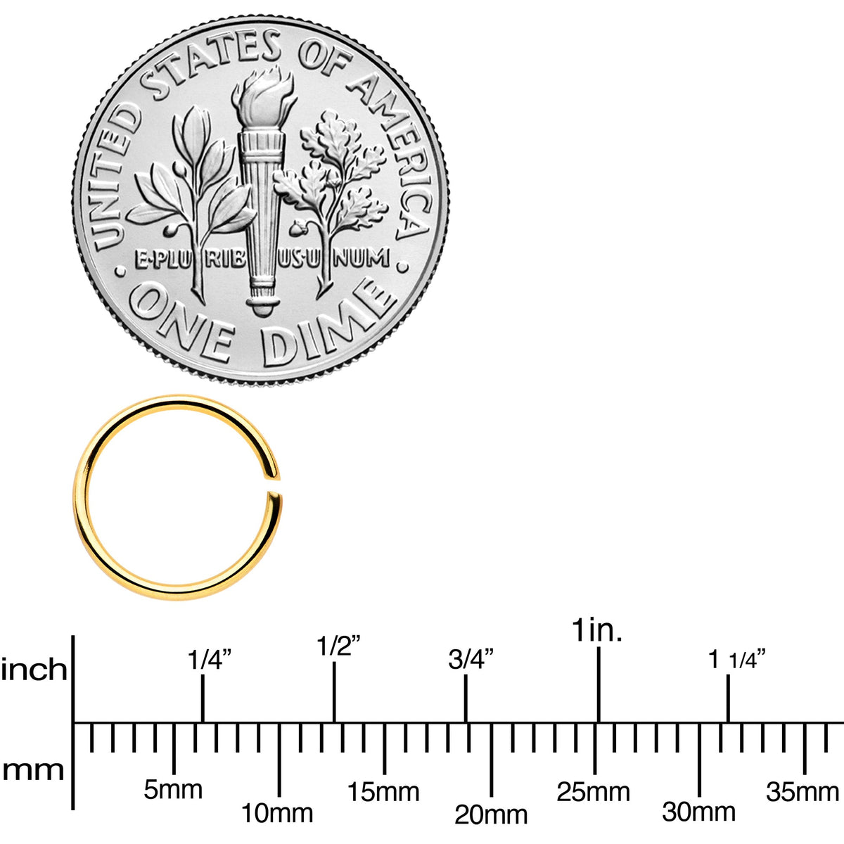 20G 5/16 Steel Gold Tone Anodized Seamless Circular Ring Set of 12