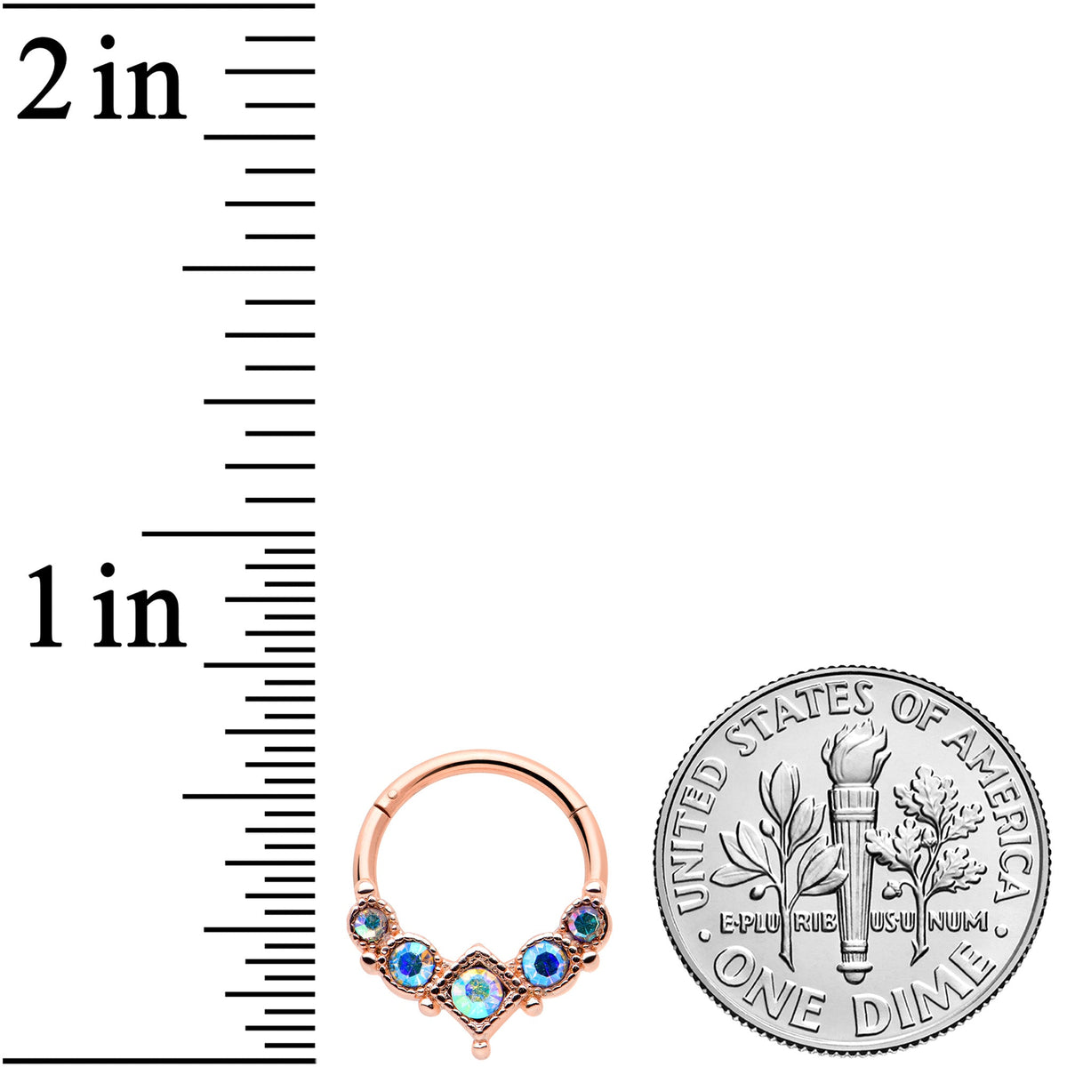 16G 3/8 Aurora Gem Rose Gold Tone Circles Hinged Segment Ring