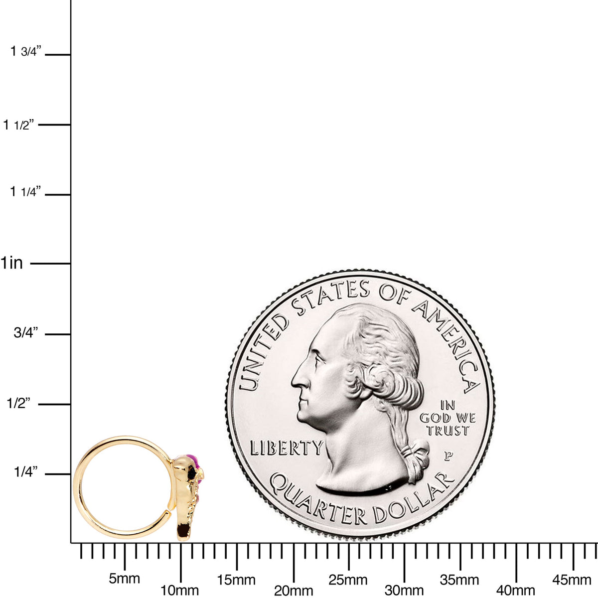 20G 5/16 Purple Gem Gold Tone Dainty Dolphin Nose Hoop