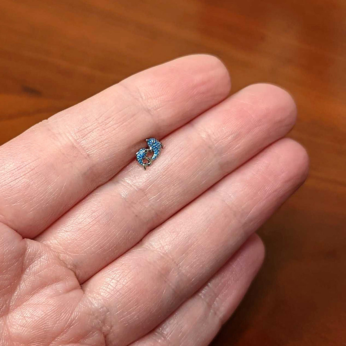 16G 1/4 Black Gem Blue Leaping Dolphins Cartilage Tragus Earring
