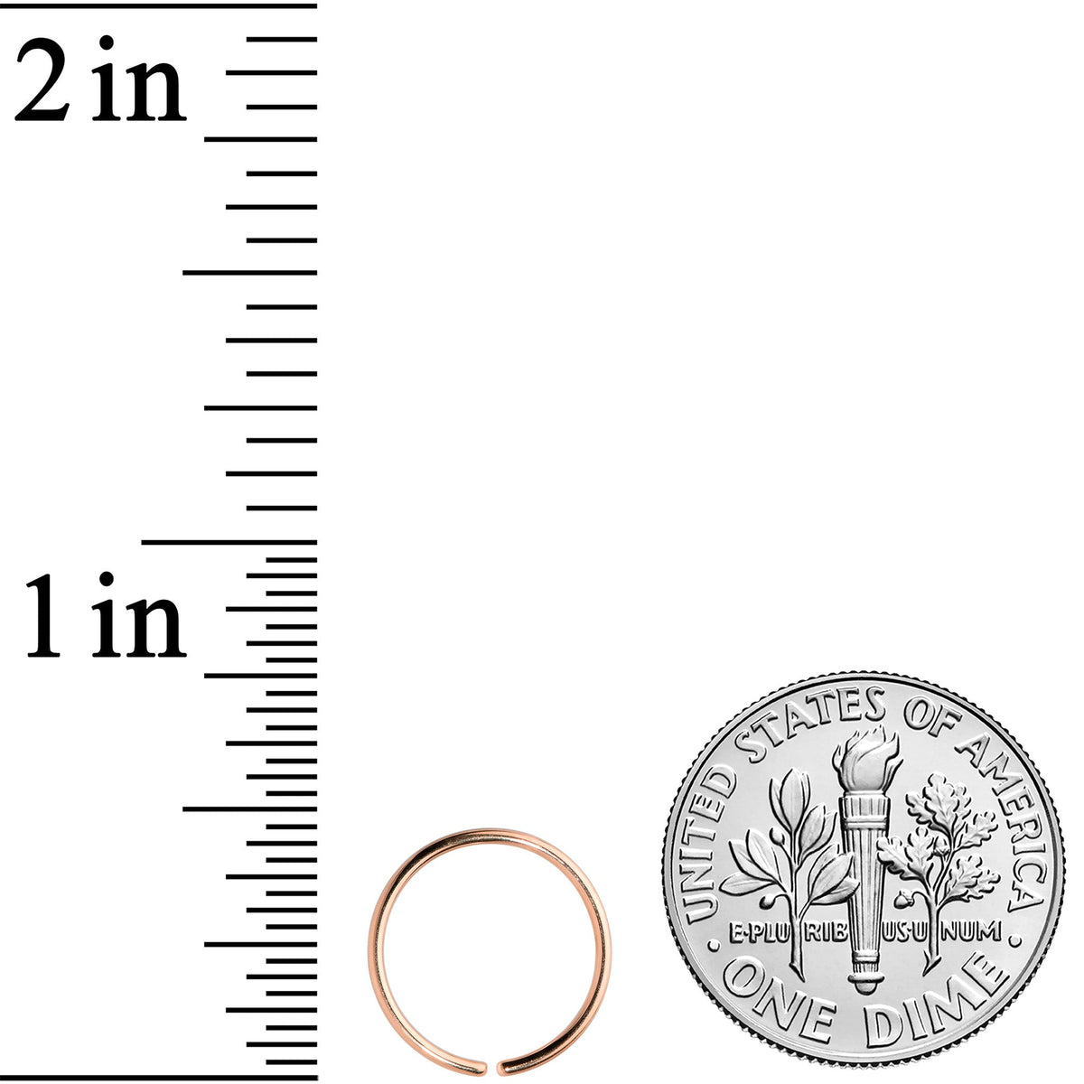 20G 3/8 Rose Gold Tone PVD Grade 23 Titanium Bendable Hoop Ring
