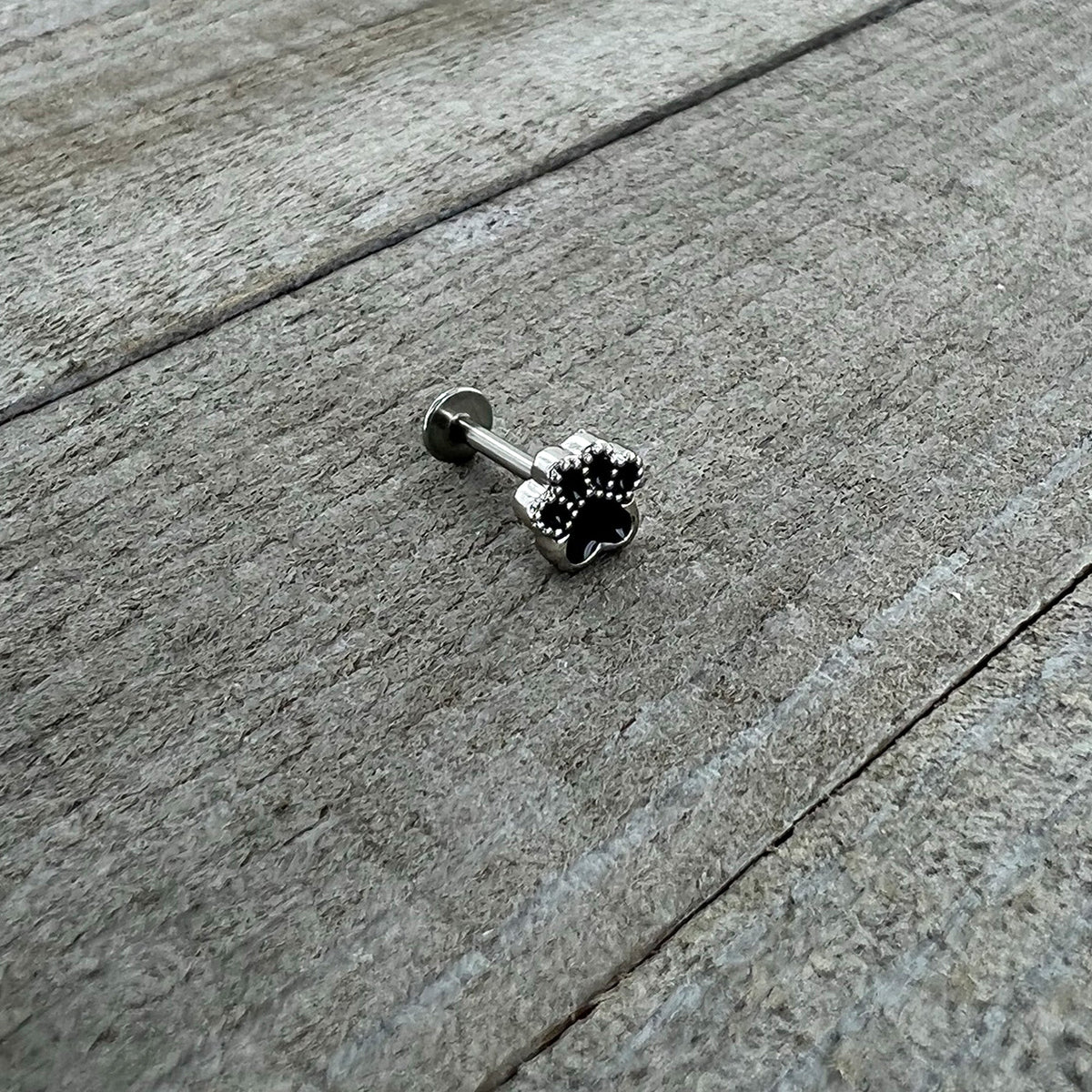 16G 5/16 Textured Black Paw Print Labret Monroe Tragus