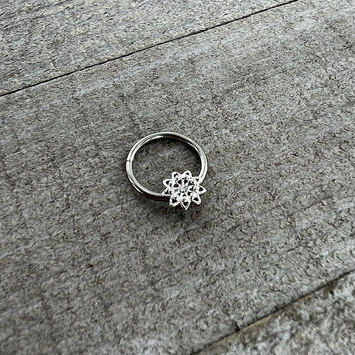 16G 3/8 Clear Gem Starry Flower Hinged Segment Ring