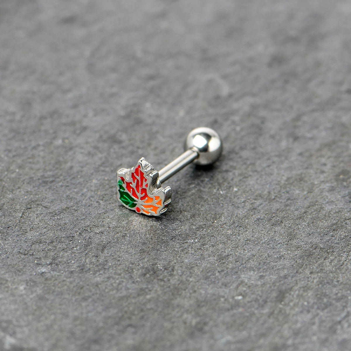16G 5/16 Autumn Tricolor Maple Leaf Cartilage Tragus Earring