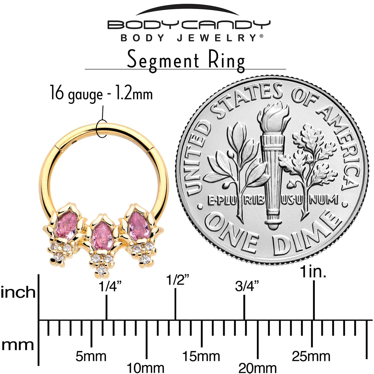 16G 3/8 Pink CZ Gem Gold Tone Style Fire Hinged Segment Ring