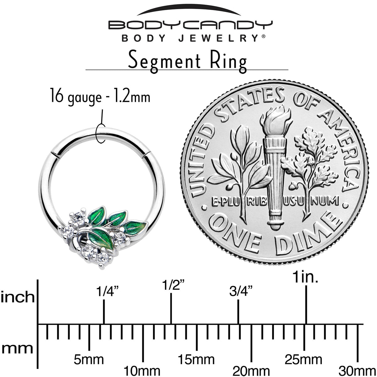 16G 3/8 Clear CZ Gem Morning Leaves Hinged Segment Ring