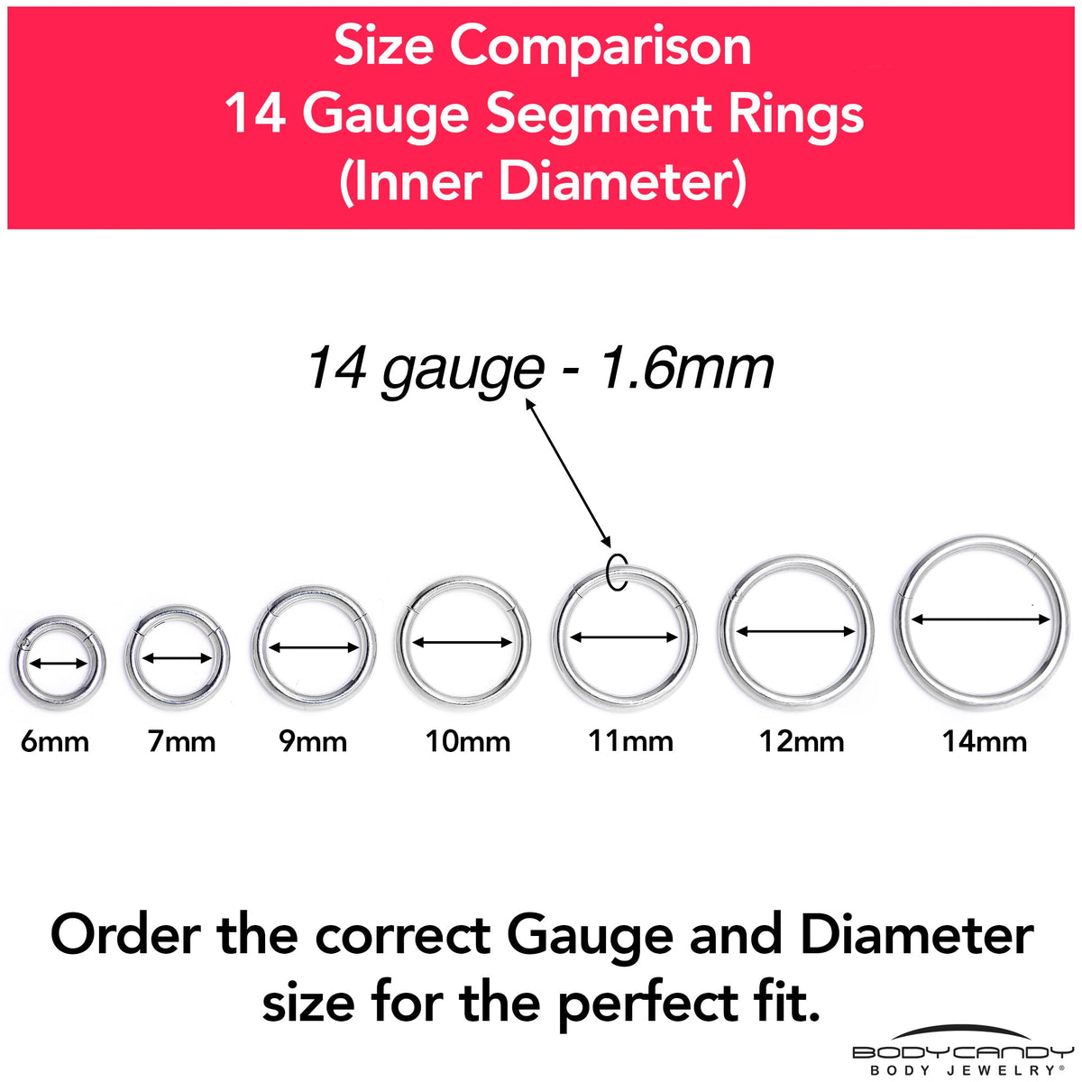 14G 1/2 316L Surgical Steel Precision Hinged Segment Hoop