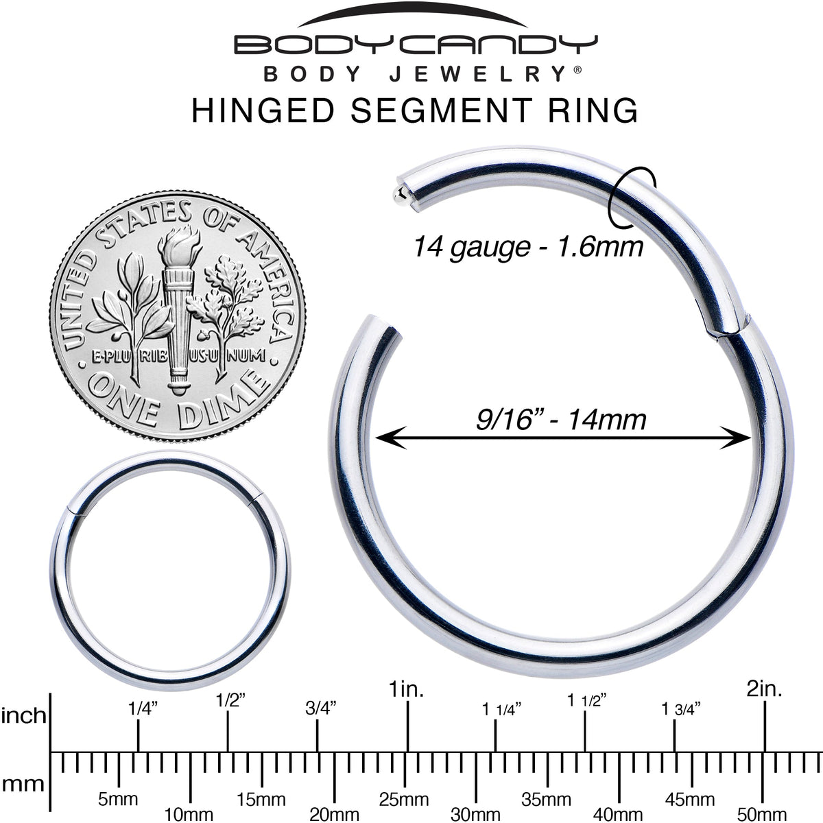 14G 9/16 316L Surgical Steel Precision Hinged Segment Hoop