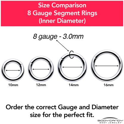 8G 1/2 316L Surgical Steel Precision Hinged Segment Hoop