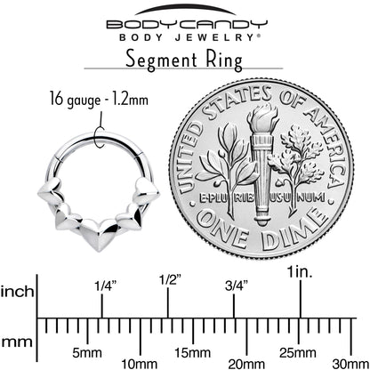 16G 5/16 3D Hearts Hinged Segment Ring