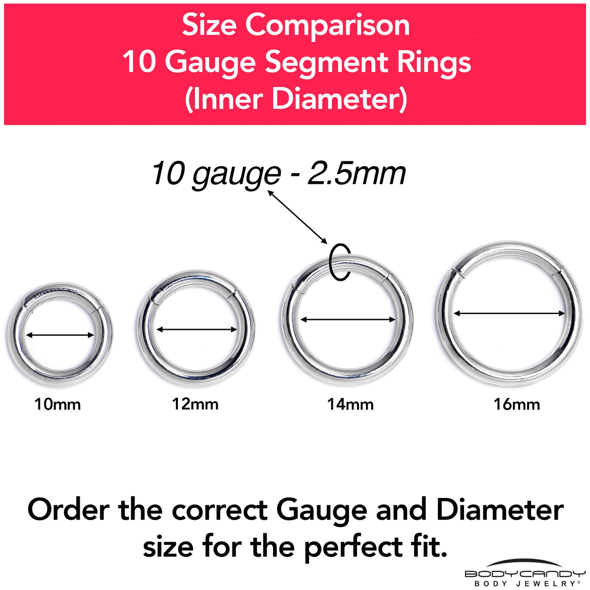 10G 1/2 316L Surgical Steel Precision Hinged Segment Hoop