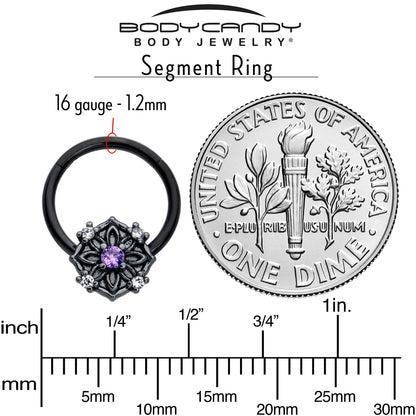 16G 3/8 Purple CZ Gem Black Flower Ring Hinged Segment Ring