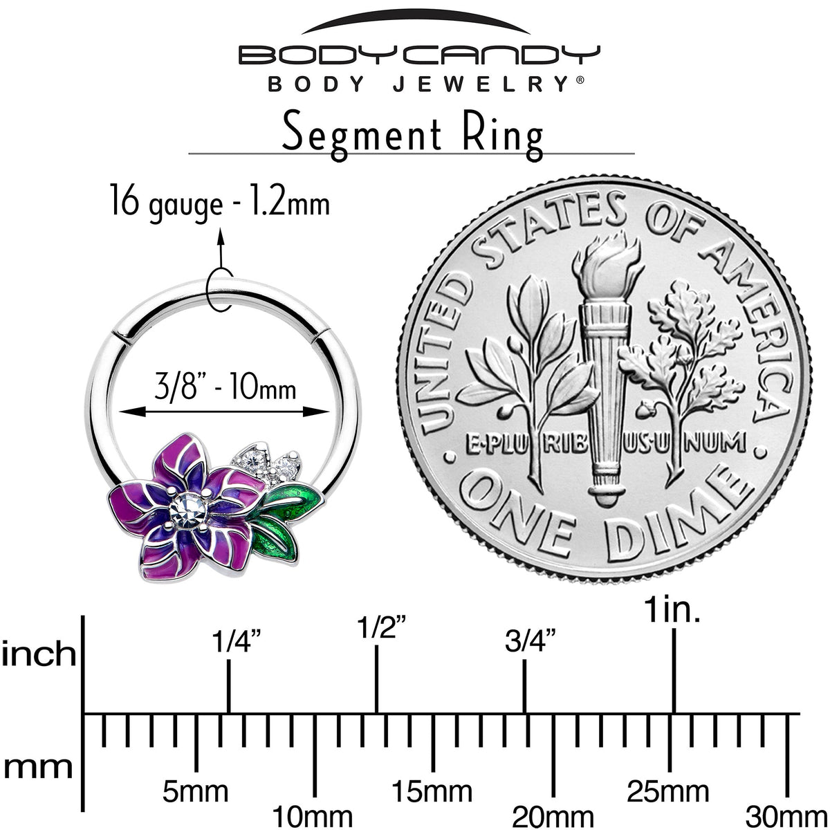 16G 3/8 Clear CZ Gem Flower Purple Hinged Segment Ring
