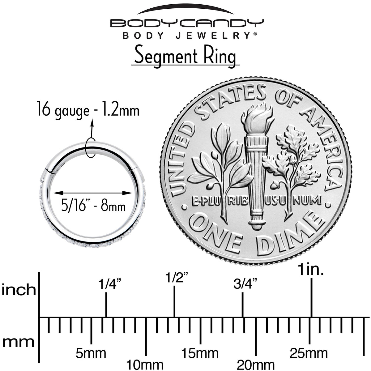 16G Clear Cubic Zirconia Forward Facing Hinged Segment Ring