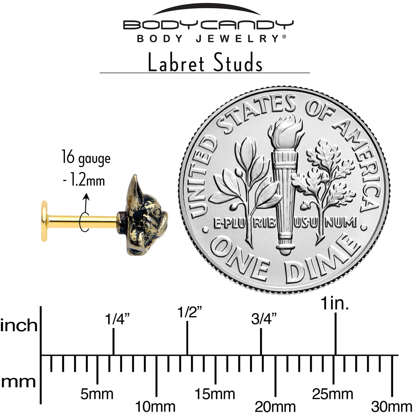 16G French Bulldog Flat Back Earring Set Internally Threaded 3 Pack