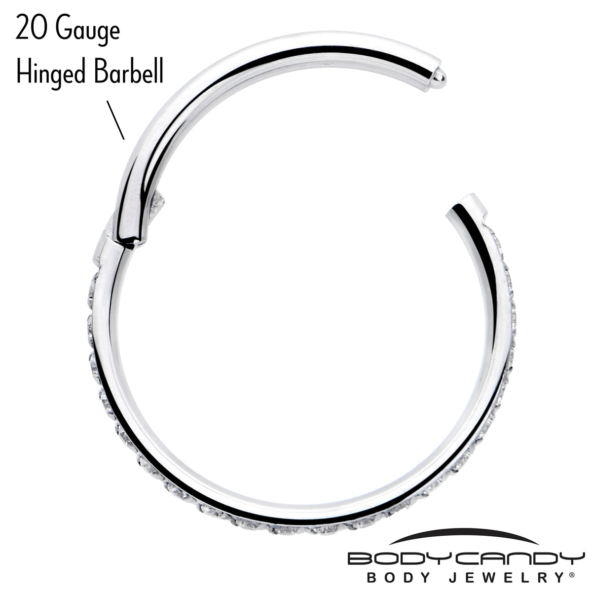 20G 5/16 Clear Cubic Zirconia Forward Facing Hinged Segment Ring