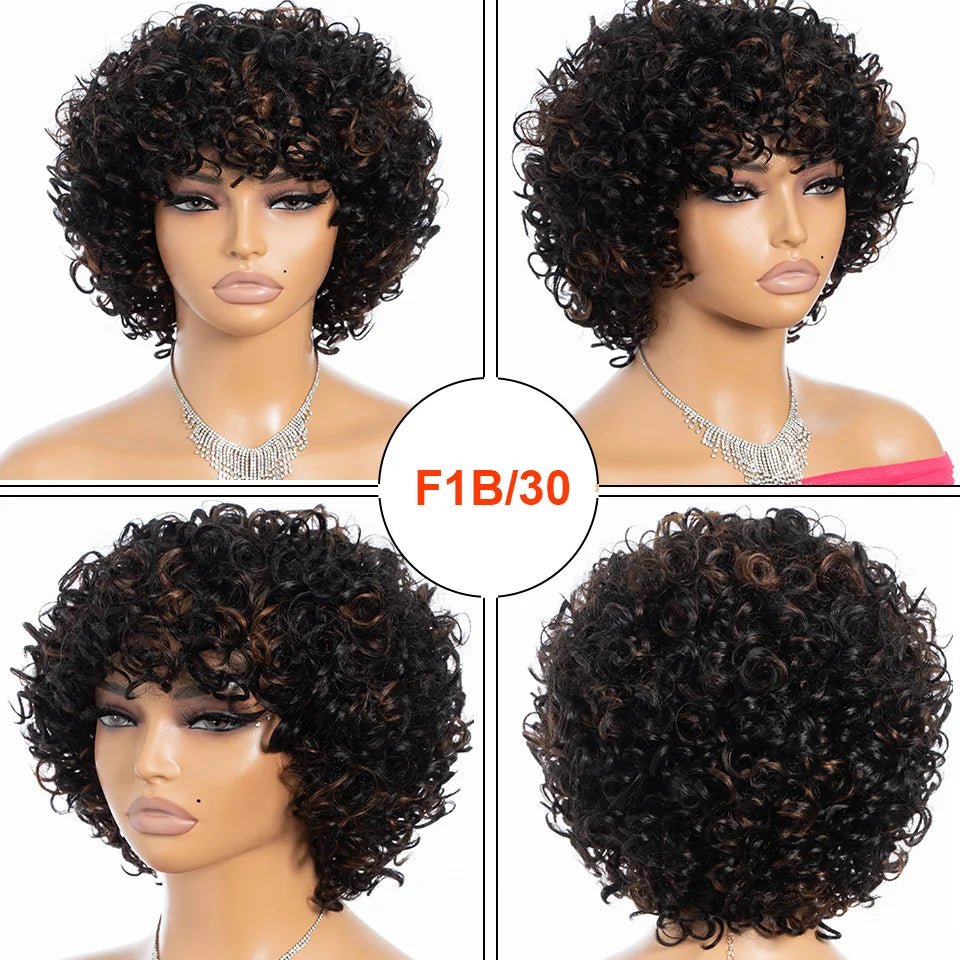 Rebecca 10 Inch Ombre 1B/#4 Curly Bob Wig | Water Wave Brazilian Remy Human Hair