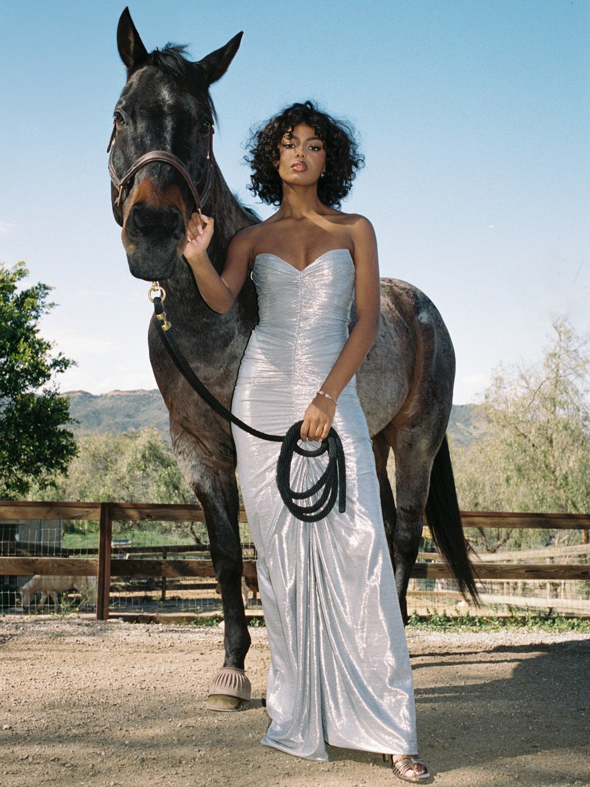 Sable Ruched Silver Glitter Mermaid Gown