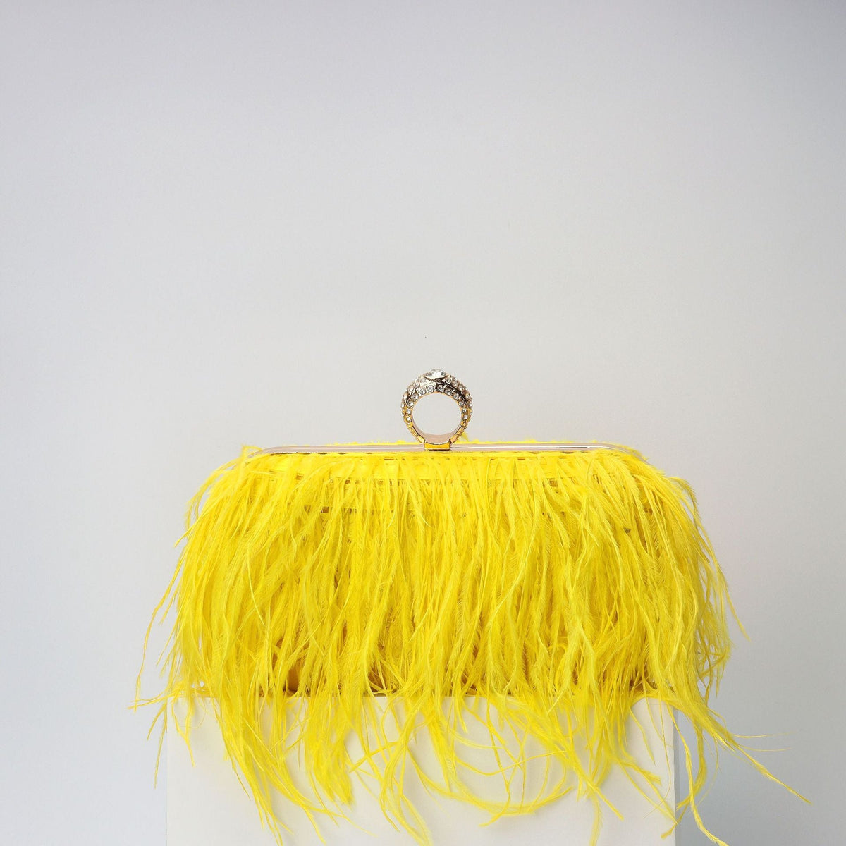 Elegant Ostrich Hair Ring Box – Small Square Bag with Chain Crossbody Shoulder Velvet Evening Clutch Purse