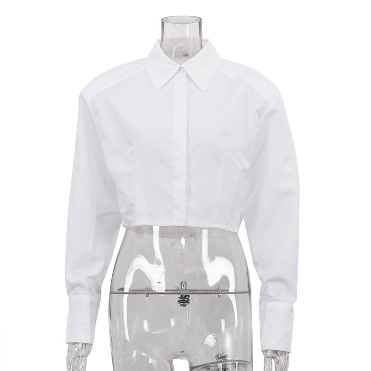 French Simplicity Commuting Short Model in White Color Women Shirt Autumn Polo Collar Long Sleeve All Match Cardigan Top