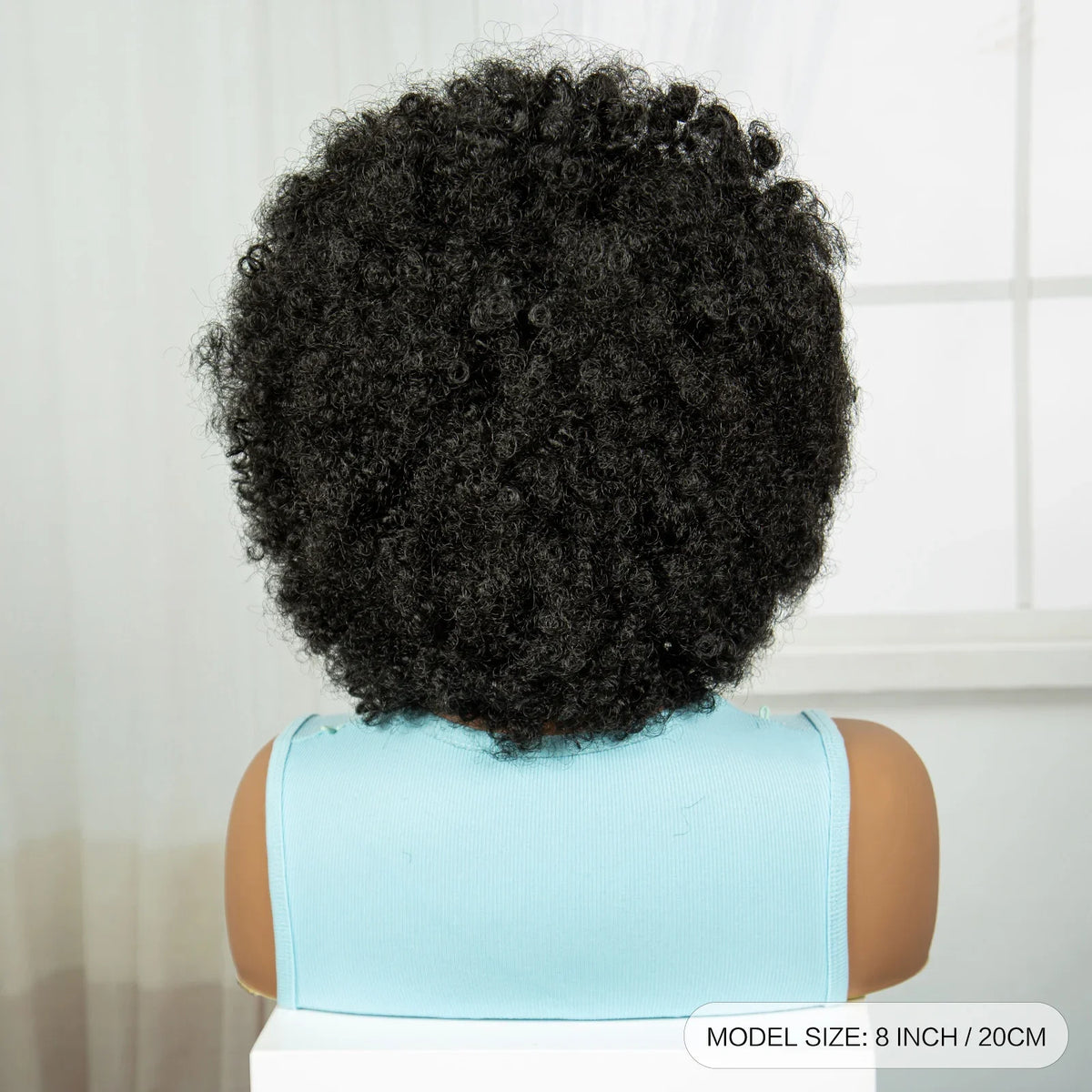 Afro Kinky Curly Cornrow Braids Wig | Transparent Full Lace | Baby Hair