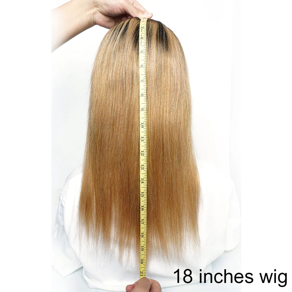 Ombre Honey Blonde & 1B/30 Straight 4x4 Lace Closure Wig | 150% Density Middle Part Remy Human Hair