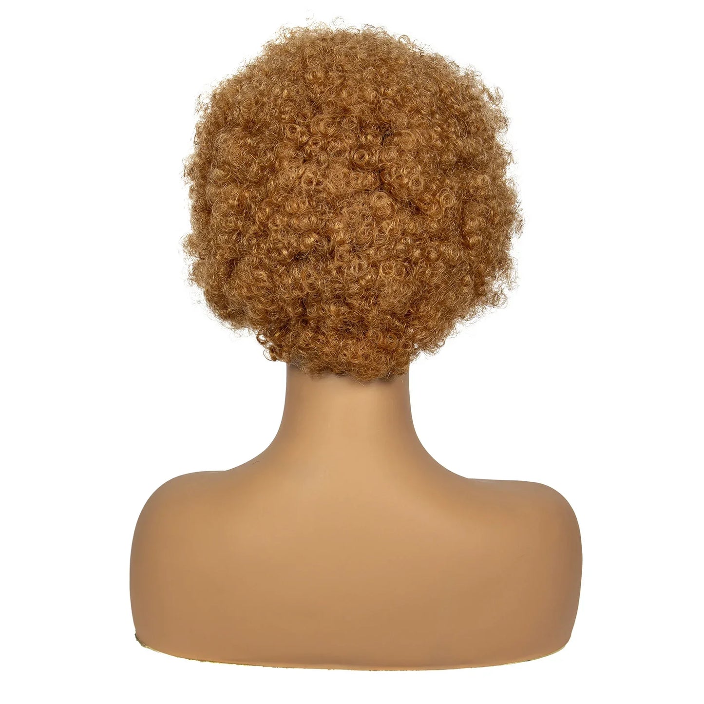 Natural Black Synthetic Braided Wig | 13x4 Transparent Lace Front Short Afro Kinky Curly Braids