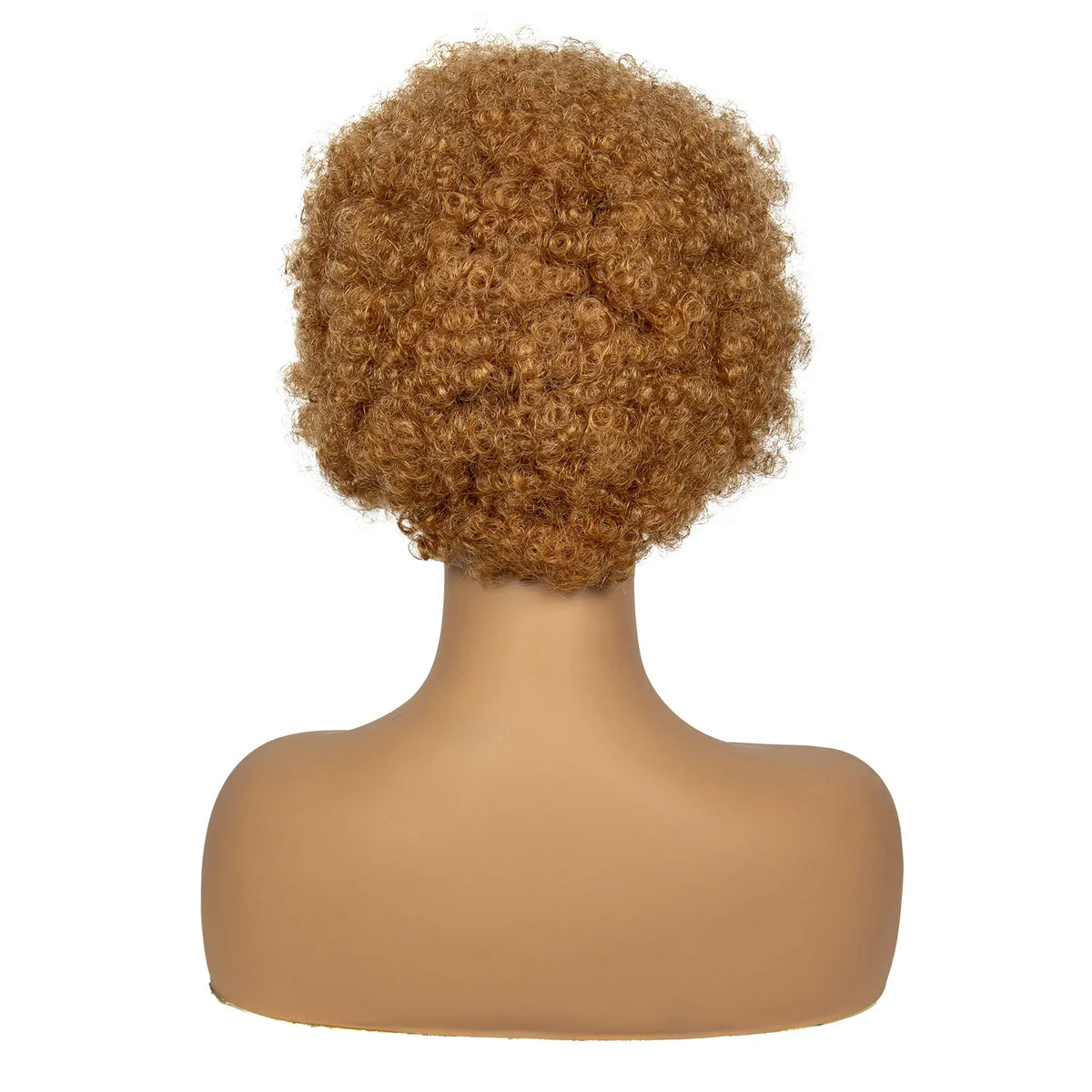 4-30 Color Synthetic Braided Wig | 13x4 Transparent Lace Front Short Afro Kinky Curly Knotless Braids