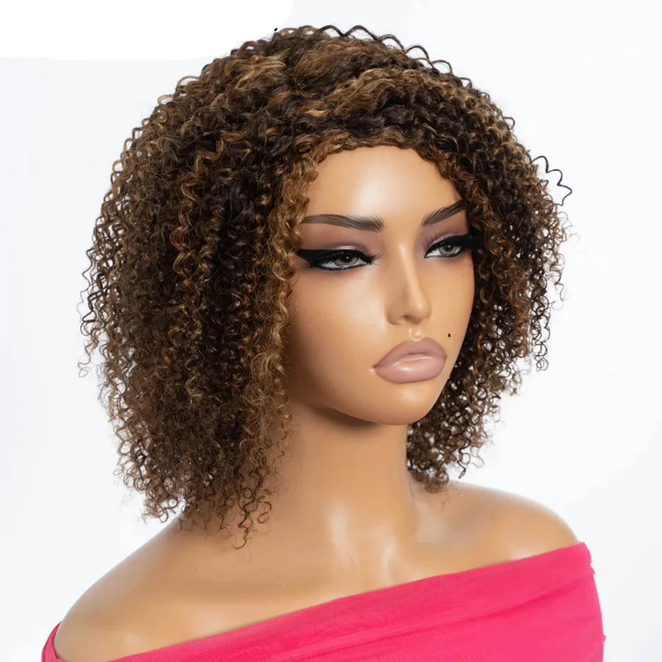 Afro Kinky Curly Black & Ombre T1B/30 Human Hair Wig | Brazilian Remy Machine Made Glueless Wigs for Women (Affordable)
